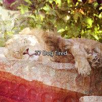 77 Dog Tired