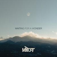 Waiting For A Wonder