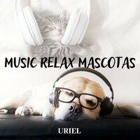Music Relax Mascotas