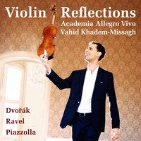 Violin Reflections