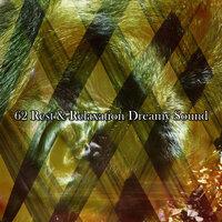 62 Rest & Relaxation Dreamy Sound