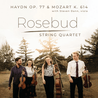 Rosebud String Quartet