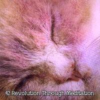 42 Revolution Through Meditation