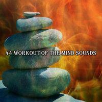 44 Workout Of The Mind Sounds