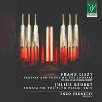 Franz Liszt: Fantasy and Fugue on the Chorale "Ad Nos, Ad Salutarem Undam" - Julius Reubke: Sonata on the 94th Psalm, Trio
