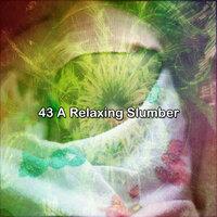 43 A Relaxing Slumber