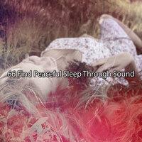 66 Find Peaceful Sleep Through Sound