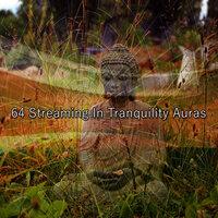 64 Streaming In Tranquility Auras