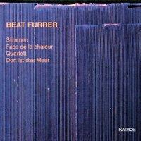 Beat Furrer: Orchestral, Choir and Ensemble Works