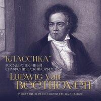 Ludwig van Beethoven: Symphony No. 9 in D Minor, Op. 125 "Choral"