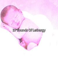 37 Sounds Of Lethargy