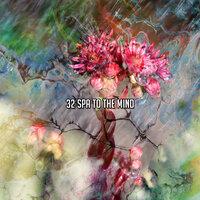 32 Spa To The Mind