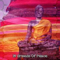 39 Breeze Of Peace