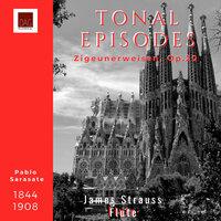 Tonal Episodes, Zigeunerweisen, Op.20, Pablo Sarasate (1844-1908)