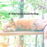 31 Truly Peaceful Sounds For Sleep