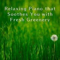 Relaxing Piano that Soothes You with Fresh Greenery
