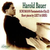 Schumann, Liszt & Grieg: Piano Works
