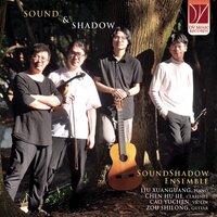 SoundShadow Ensemble