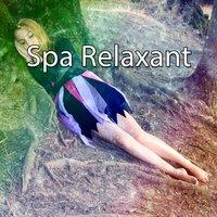 Spa Relaxant