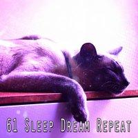 61 Sleep Dream Repeat