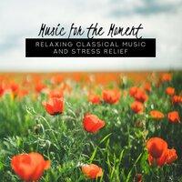 Music for the Moment: Relaxing Classical Music and Stress Relief
