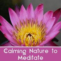 Calming Nature to Meditate – Inner Silence, Meditation Sounds, Energy Gathering, Calm Music
