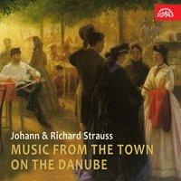 Music from the Town on the Danube