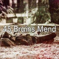 45 Brains Mend