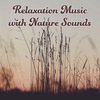Relaxation Music with Nature Sounds