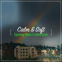 #18 Calm & Soft Spring Rain Collection for Natural Relaxation & Meditation