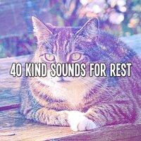 40 Kind Sounds For Rest