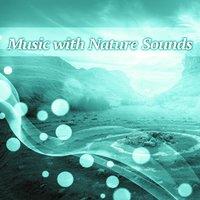 Music with Nature Sounds – Relaxation Collection for Meditation, Positive Music for Night, Pure Nature