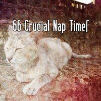 66 Crucial Nap Times
