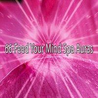 66 Feed Your Mind Spa Auras
