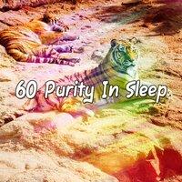 60 Purity in Sleep