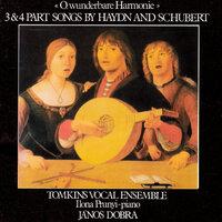 Haydn / Schubert: 3 and 4 Part Songs.