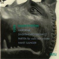 Häxorna / Divertimento elegiaco / Partita för Violin och orkester / Havet sjunger