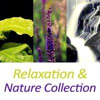 Relaxation & Nature Collection – Relaxing Sounds of Nature for Yoga, Meditation, Sleep, Inner Peace, Chakra Balancing