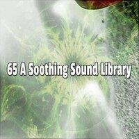 65 A Soothing Sound Library