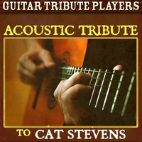 Acoustic Tribute to Cat Stevens