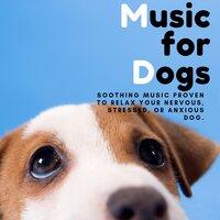 Music for Dogs - Soothing Music Proven to Relax Your Nervous, Stressed, or Anxious Dog.