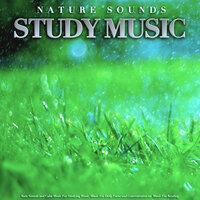 Nature Sounds Study Music: Rain Sounds and Calm Music For Studying Music, Music For Deep Focus and Concentration an Music For Reading