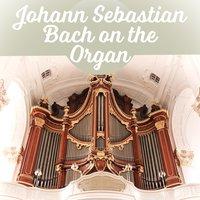 Johann Sebastian Bach on the Organ – Great Organ Works, Famous Composer and Classical Music