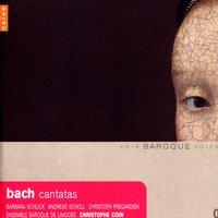 Bach: Cantatas with Violoncello Piccolo (BWV 85, 175, 183, 199)
