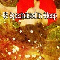 55 Specialised in Sleep