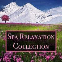 Spa Relaxation Collection - 20 Deep Focus Rain & Water Melodies for Relaxation, Studying, Stress Relief, and Chill Out Times