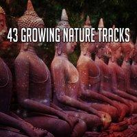 43 Growing Nature Tracks