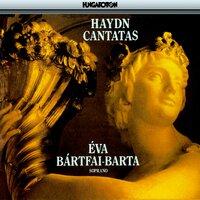 Haydn: Cantatas