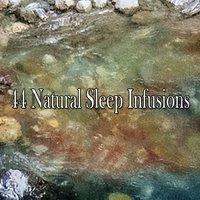 44 Natural Sleep Infusions
