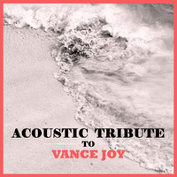 Acoustic Tribute to Vance Joy